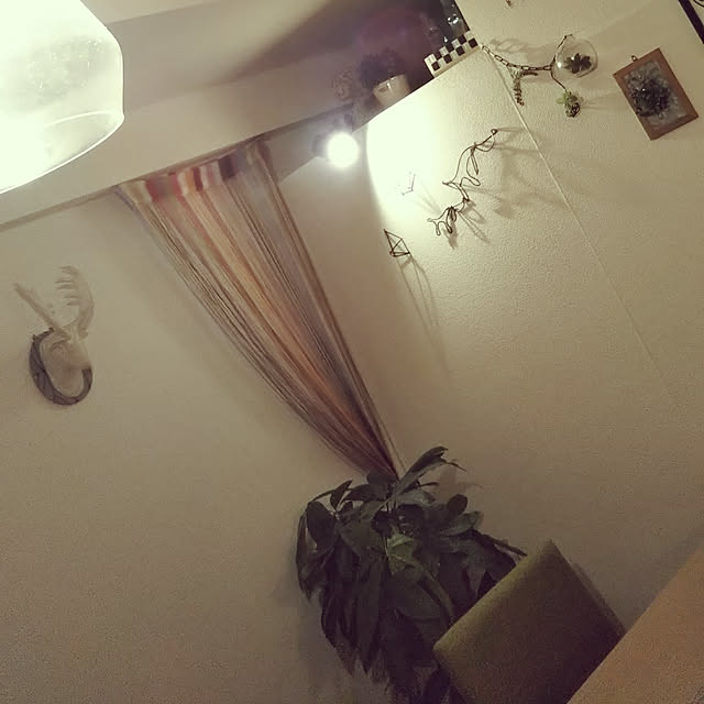 chi-さんの実例写真