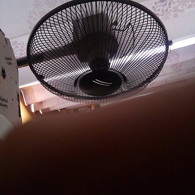 Fungefungeさんの実例写真