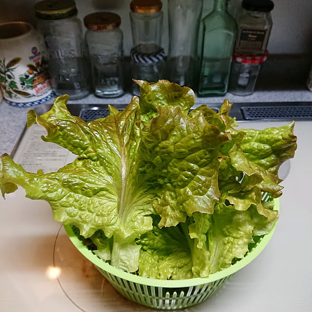 porinさんの実例写真