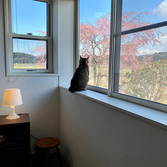 shijiminさんの実例写真