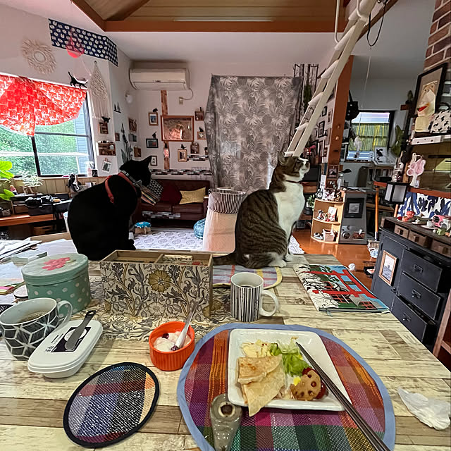 jijiさんの実例写真