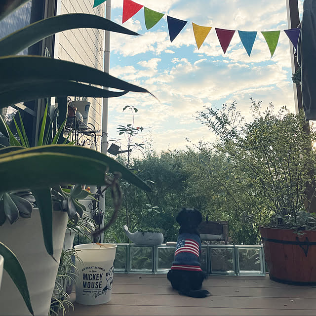 marinkoさんの実例写真