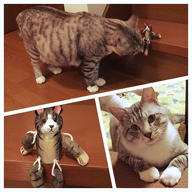 Manamiさんの実例写真