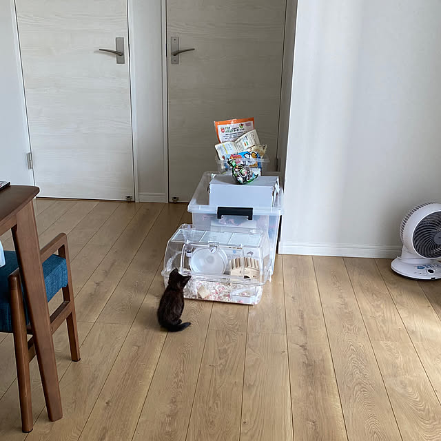 okapiさんの実例写真