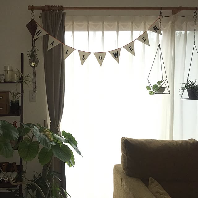 takさんの実例写真