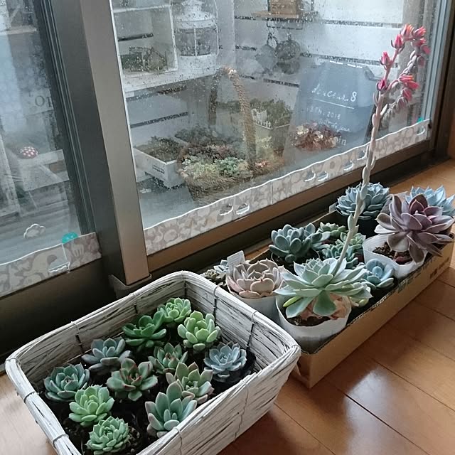 kanananaさんの実例写真