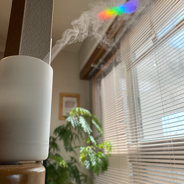 cottoncottonさんの実例写真
