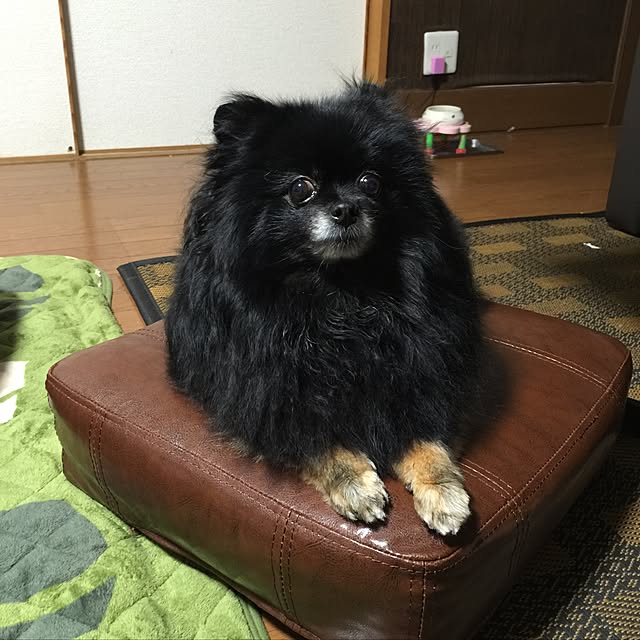 seikoyrsさんの実例写真