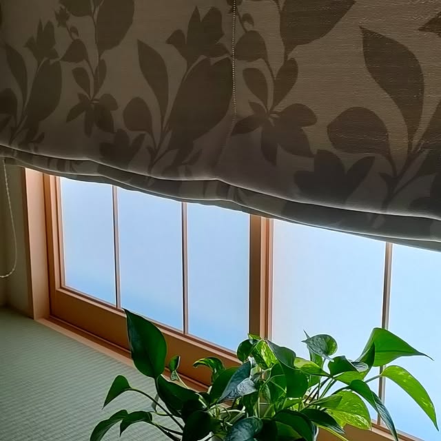 junpyonさんの実例写真