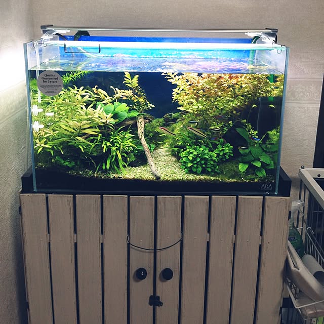 churaさんの実例写真