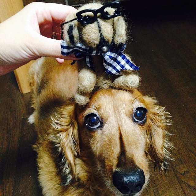 pepeさんの実例写真