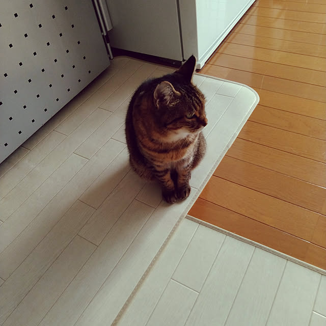 lilyさんの実例写真