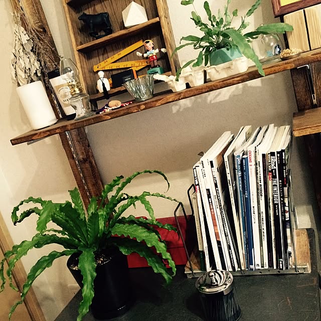 interior_yuさんの実例写真