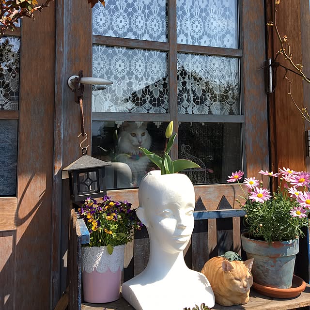 shigimiさんの実例写真