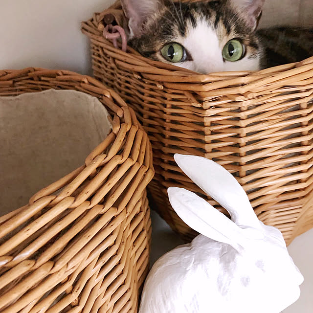 yuchiさんの実例写真