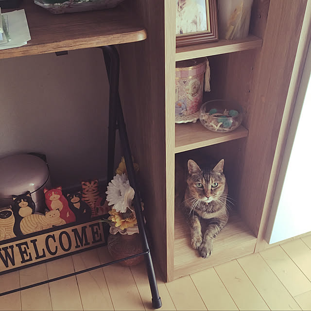tomokoさんの実例写真