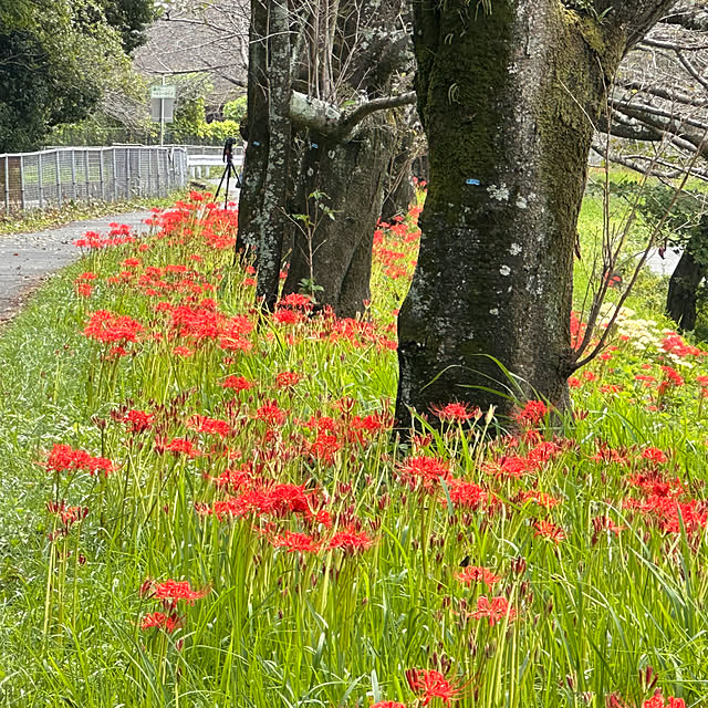 mizucchiさんの部屋