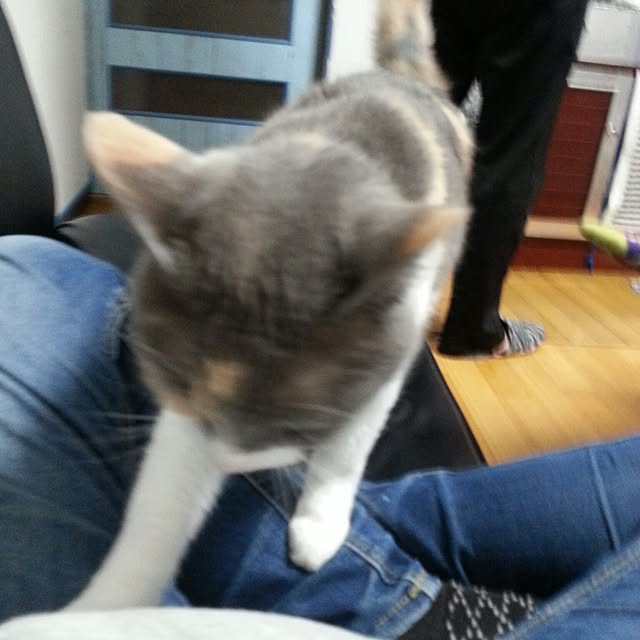 Seikoさんの実例写真