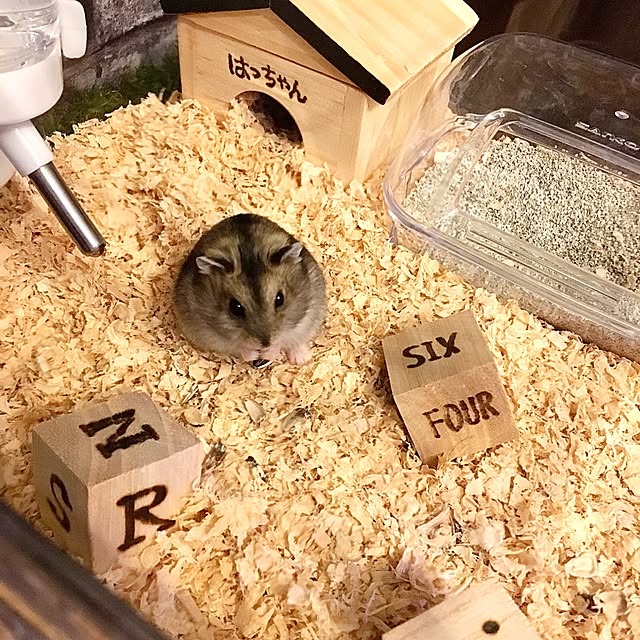 kaerucoさんの実例写真