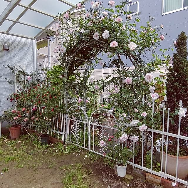 Bienvenueさんの実例写真