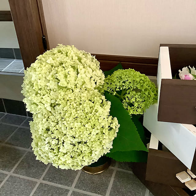 Ma-saさんの実例写真