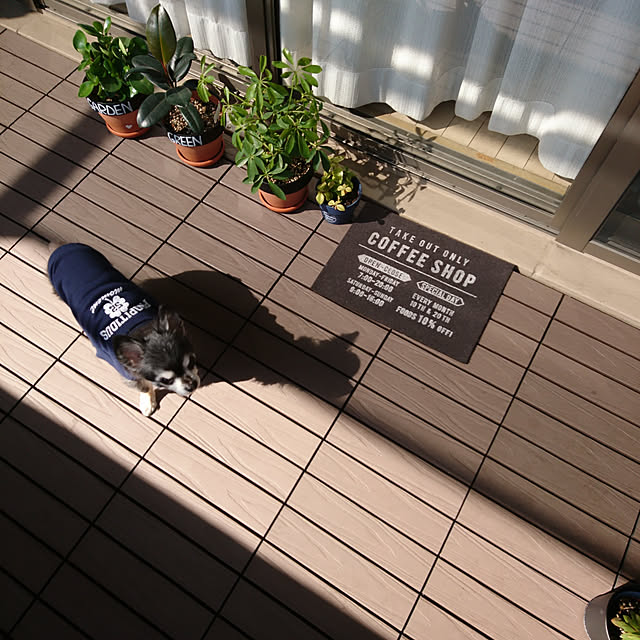 lovepeaceさんの実例写真