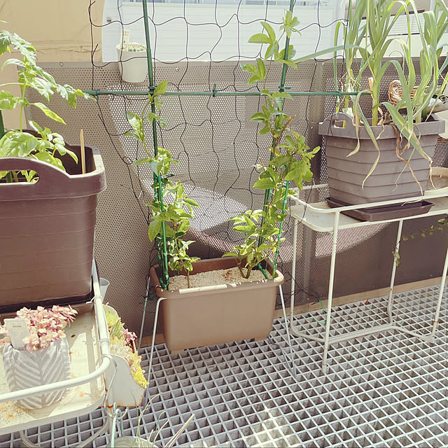 nahonさんの部屋