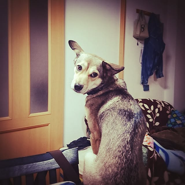 andさんの実例写真