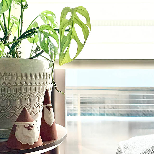 tantanmaruさんの実例写真