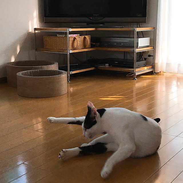 nobikoさんの実例写真