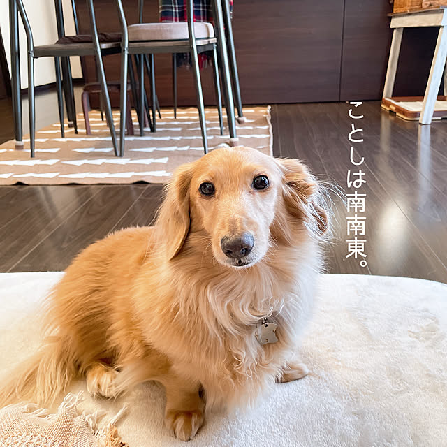 -Riley-mama.-さんの部屋