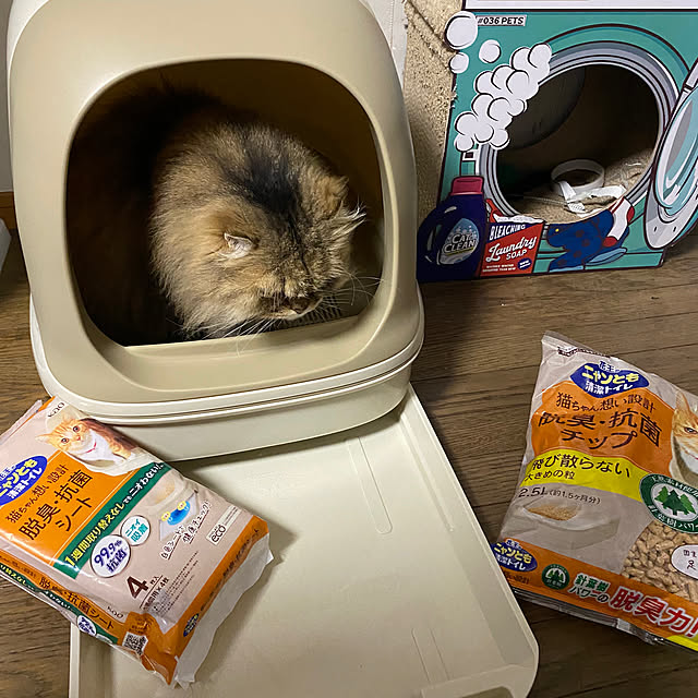 xxyumexx.roomさんの実例写真