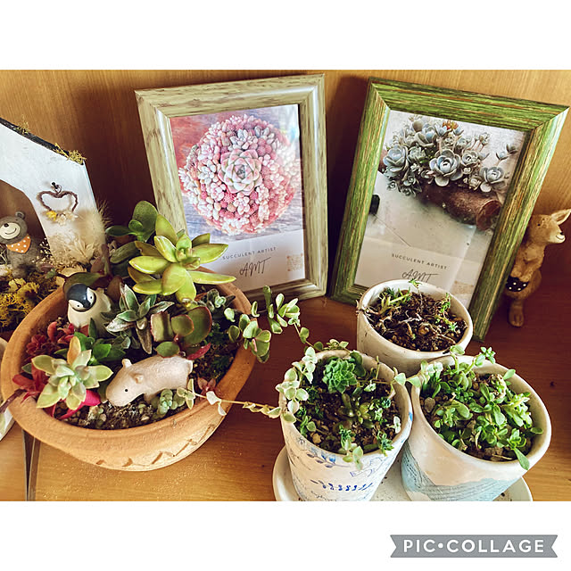 CoCo0617さんの部屋