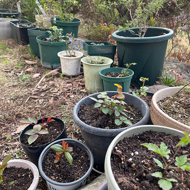 natsumiさんの部屋