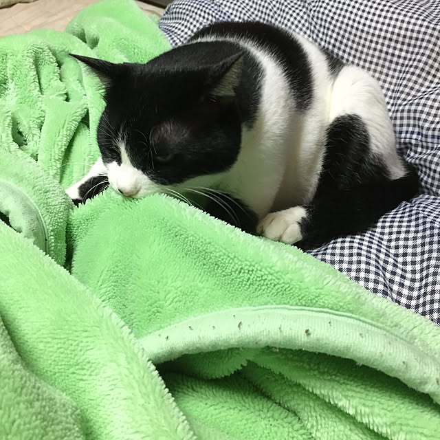 Fumiさんの実例写真