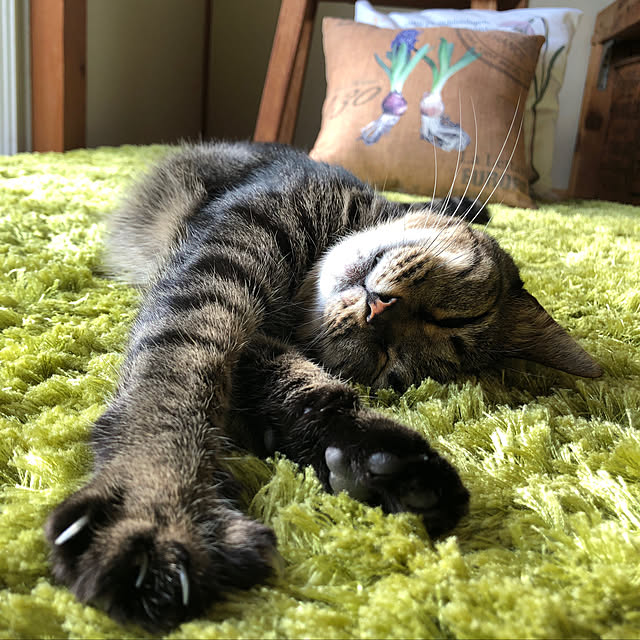 weさんの実例写真