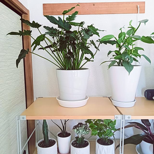 hanachanさんの部屋