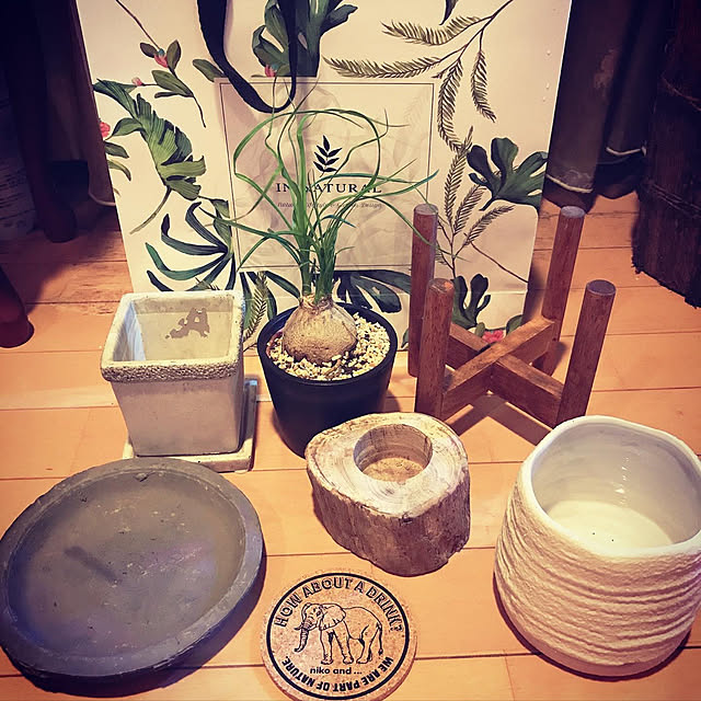ManabenoLMさんの実例写真