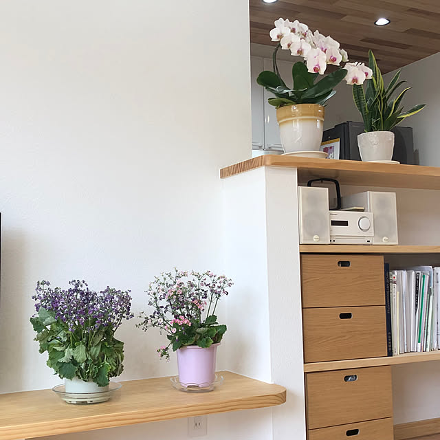 todonekomaiさんの実例写真