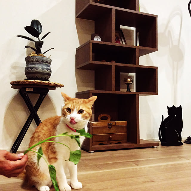 houenさんの実例写真