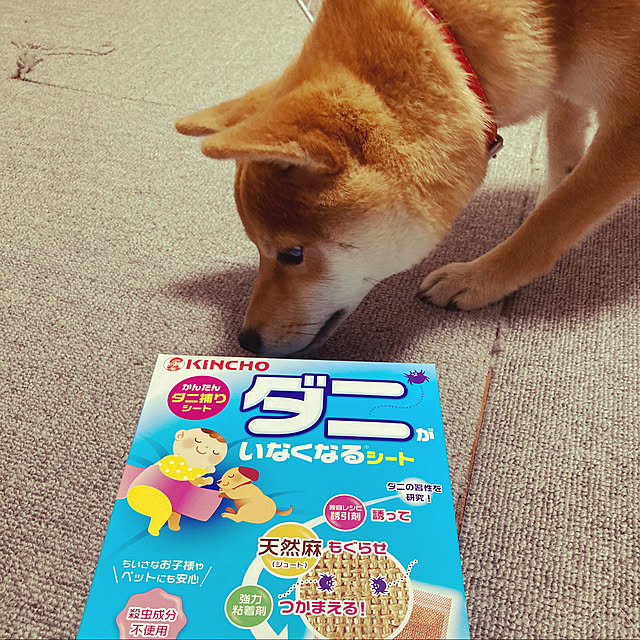 yumomitoさんの実例写真