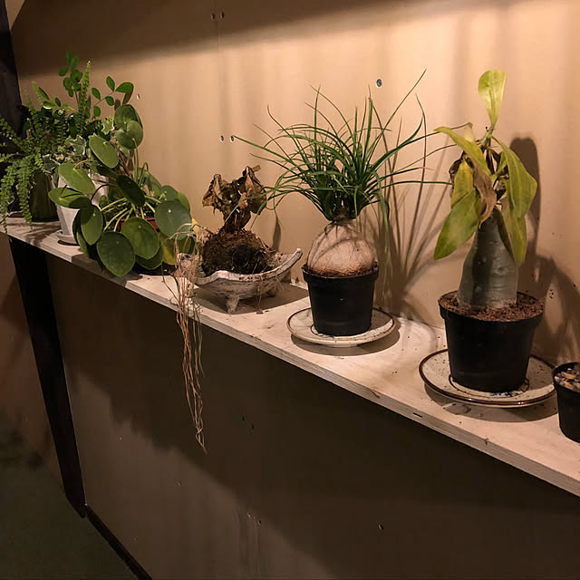 棚のインテリア実例 - 2018-12-06 22:07:20