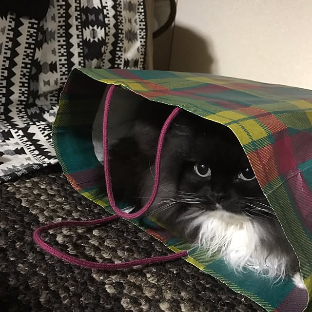 mucc08さんの実例写真