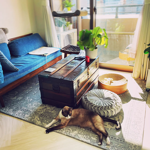 muuさんの実例写真