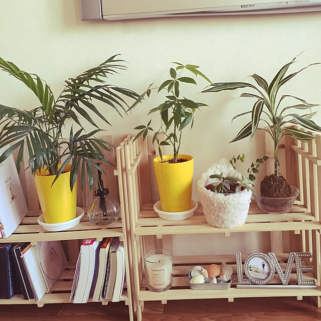 eringi0404さんの実例写真