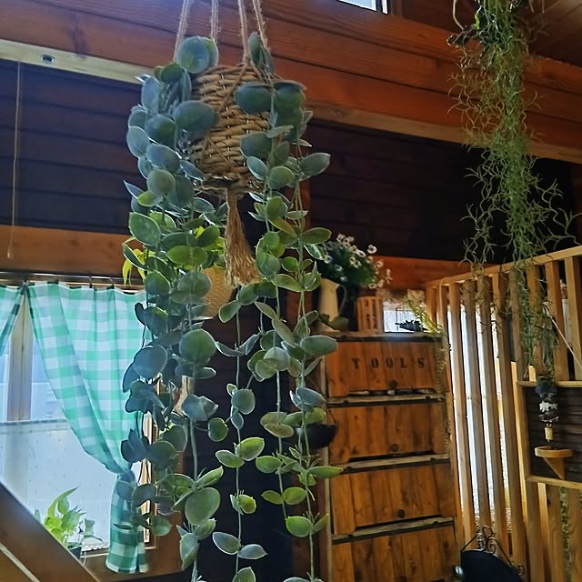 murasaki808さんの実例写真