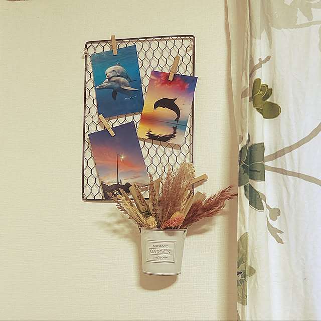 ikkoさんの実例写真