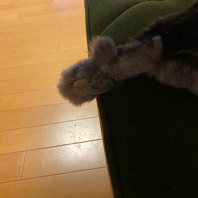 lanaさんの部屋