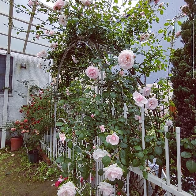 Bienvenueさんの部屋