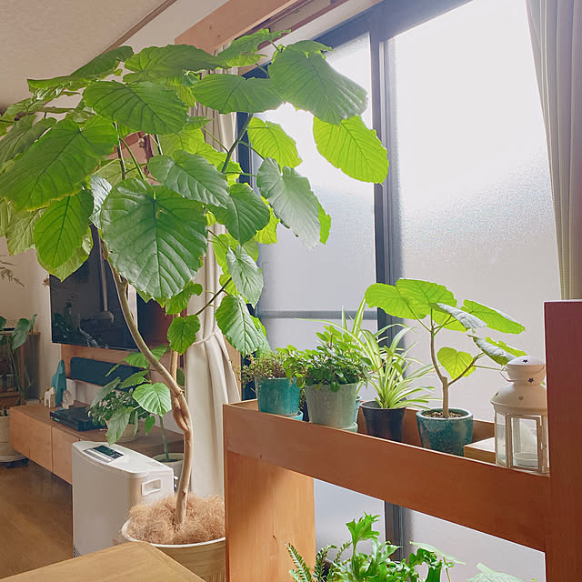 yukaさんの実例写真